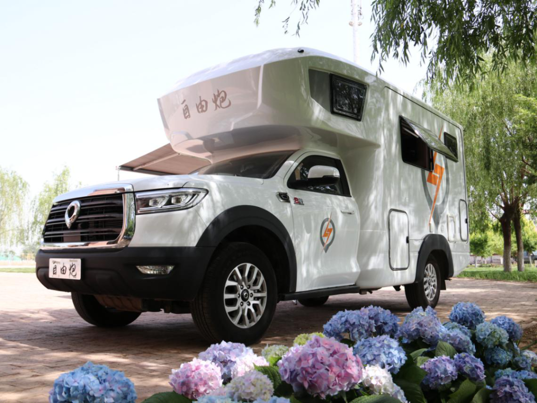 為自由著色！紅、白、藍、棕，你選哪一種？