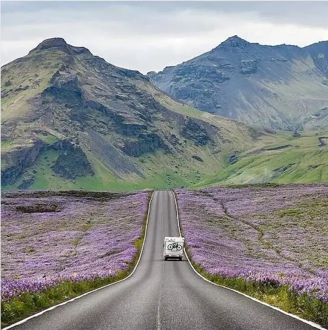 成年人不做選擇題，自由與安穩(wěn)我都要！